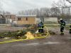 Bild-Nr. 1789 Kleinbrand